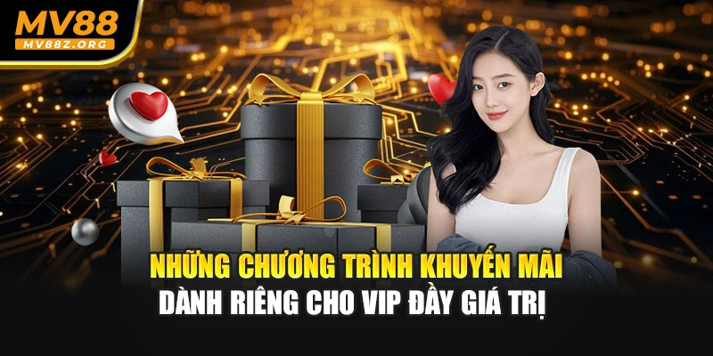 Những chương trình khuyến mãi dành riêng cho vip đầy giá trị 