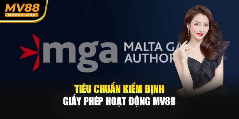 Tiêu chuẩn kiểm định giấy phép hoạt động MV88